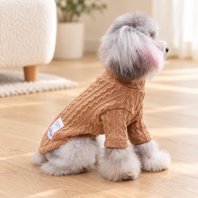 A small dog wearing the Coffee cable-knit sweater