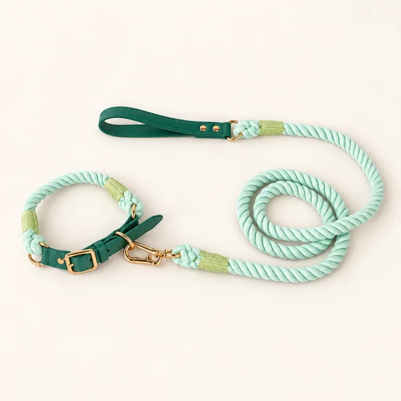 Pale sage rope collar and matching lead with deep green details and gold-tone fittings.
