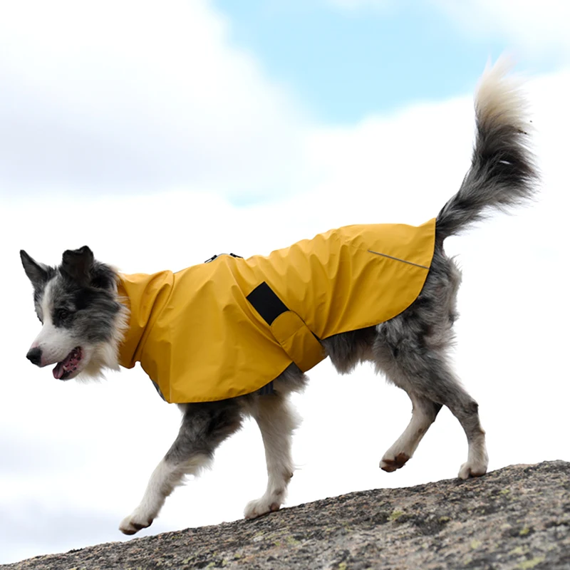 Dog walking over rocks while wearing a yellow wrap-style rain shell.