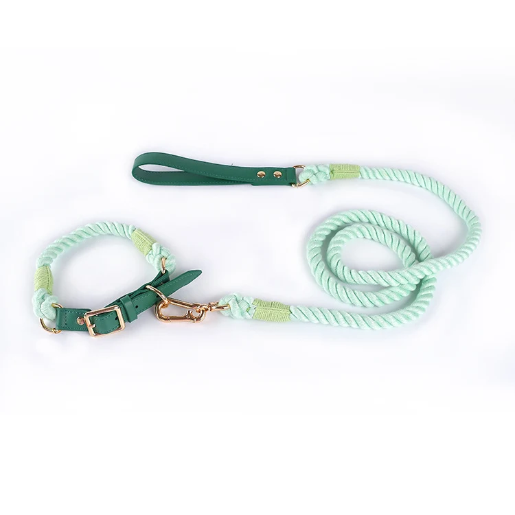 A pale mint rope collar and matching lead with deep green trim and gold-tone fittings on a white surface.