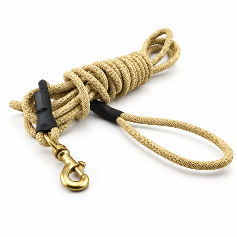 One coiled tan training line with loop handle, black bindings and a metal clip.