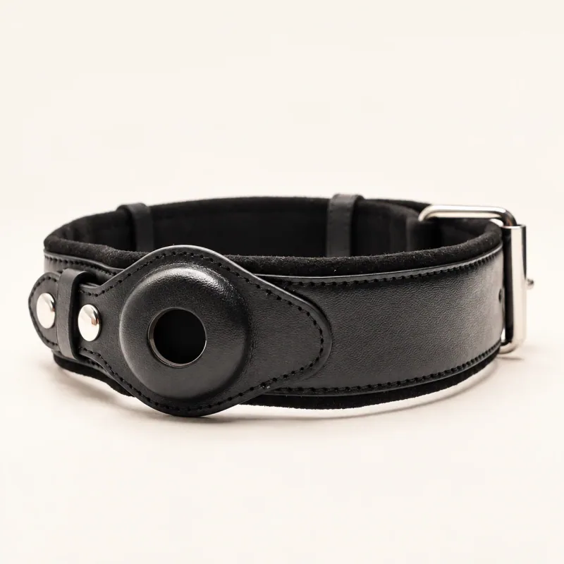 Black leather collar with silver-tone fittings and its round tracker holder empty.