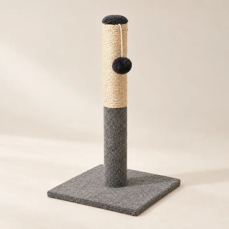 The Everyday Scratch Post