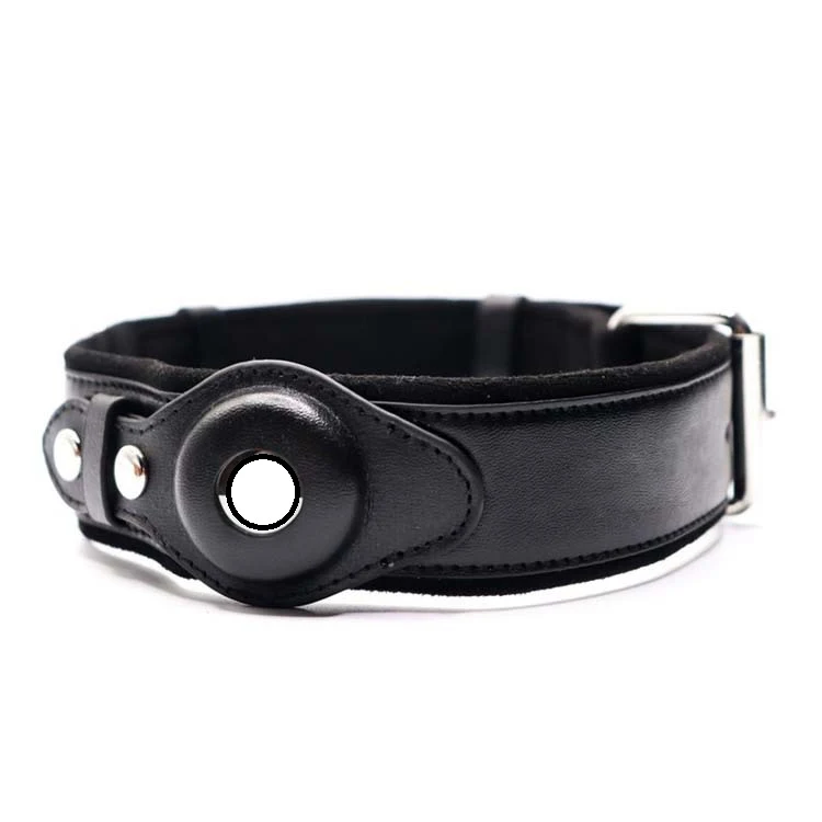 Black leather collar with a round tracker holder and metal buckle.
